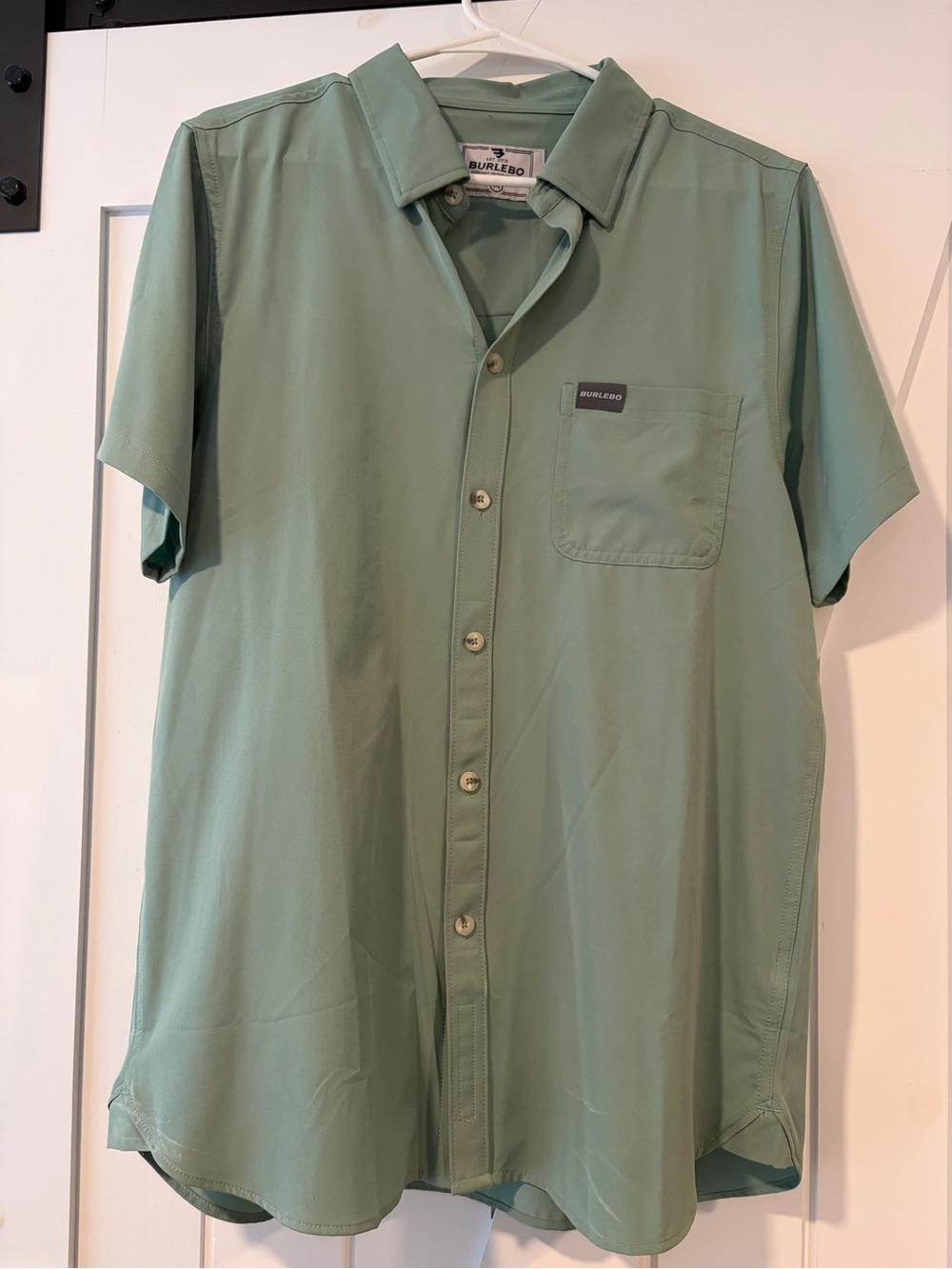 Burlebo Short-Sleeve Button-Up Shirt in Sage Green